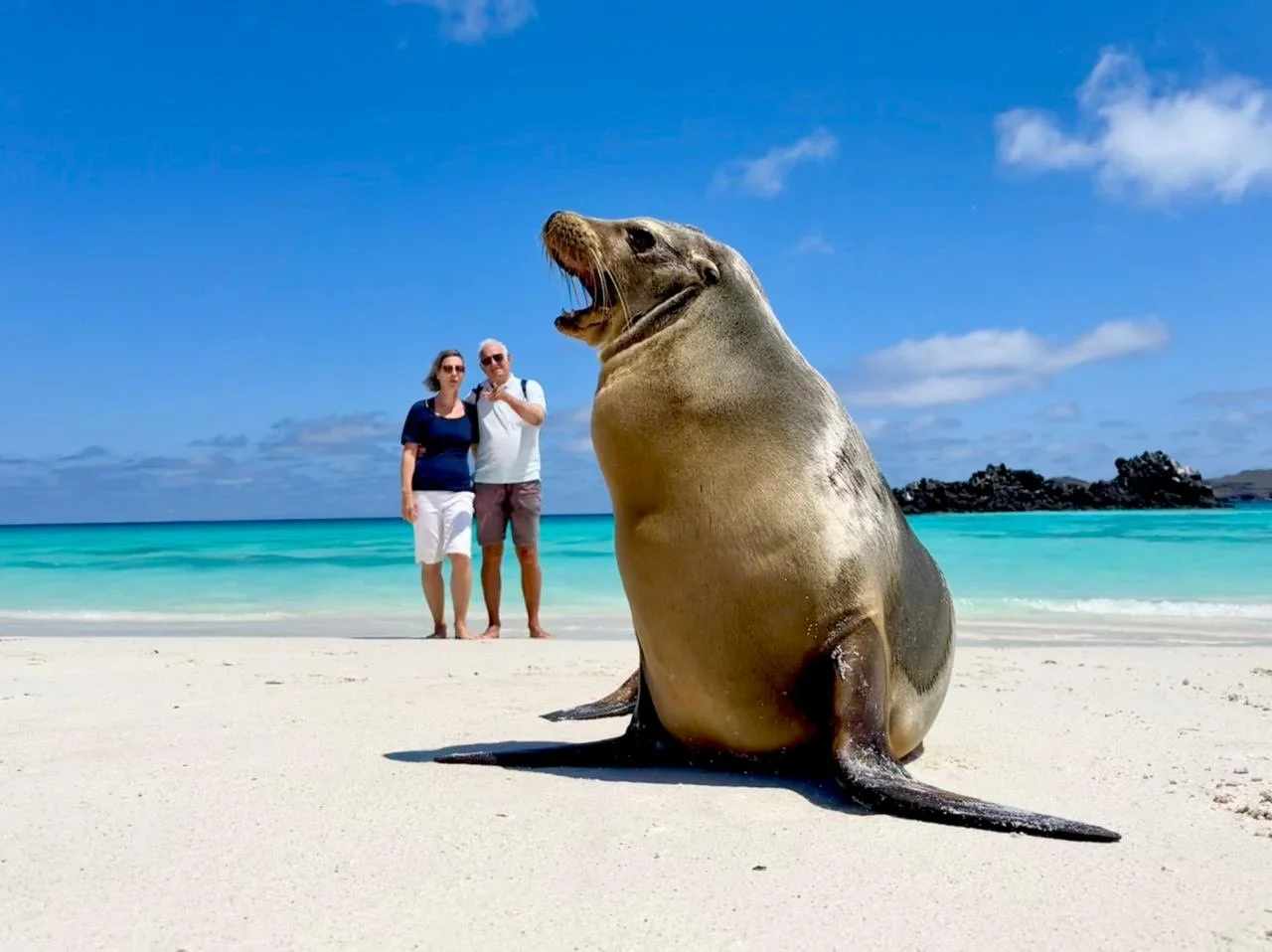 Wildlife Encounters