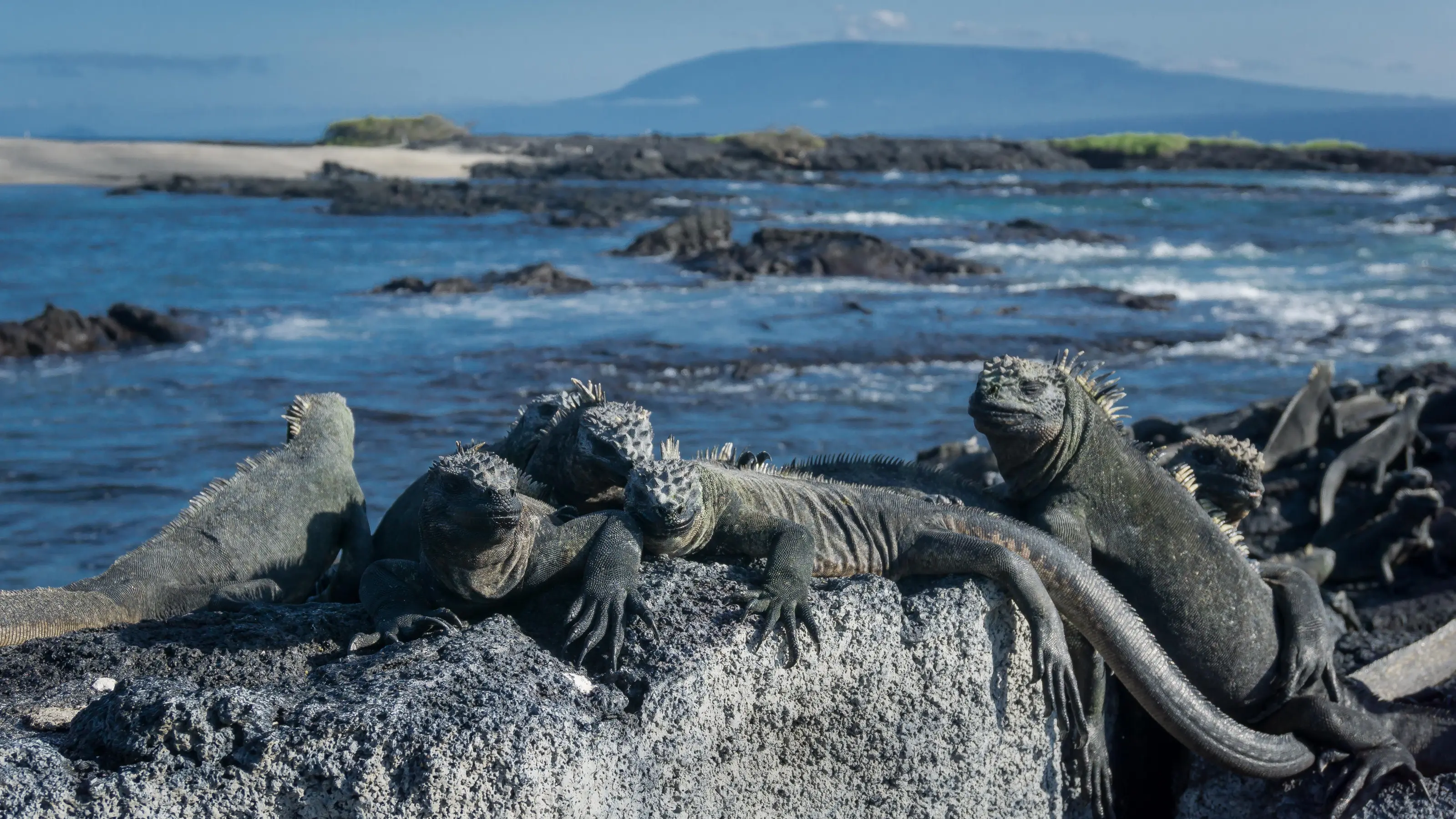 Volcanic Coastlines