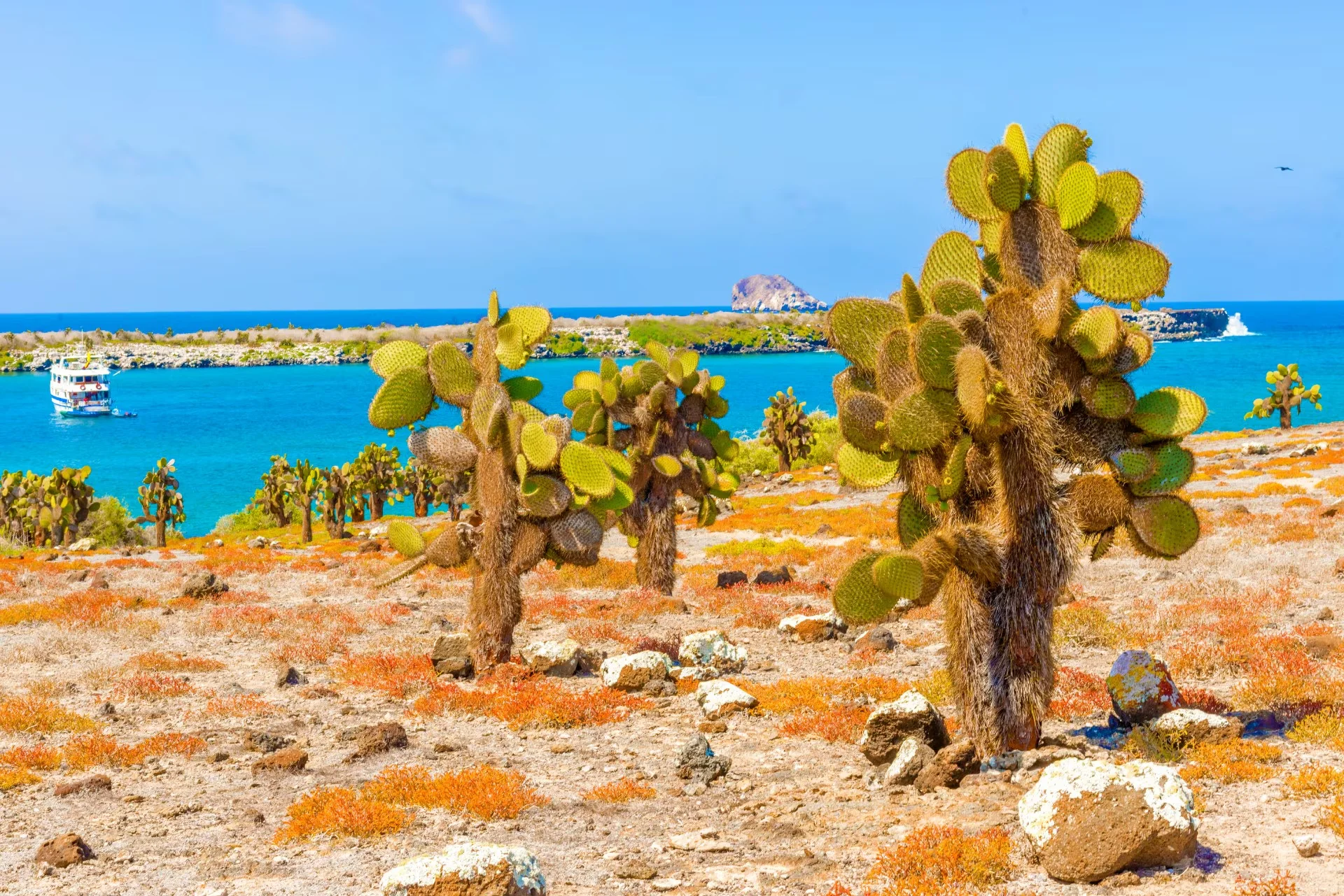 Santa Fe Island