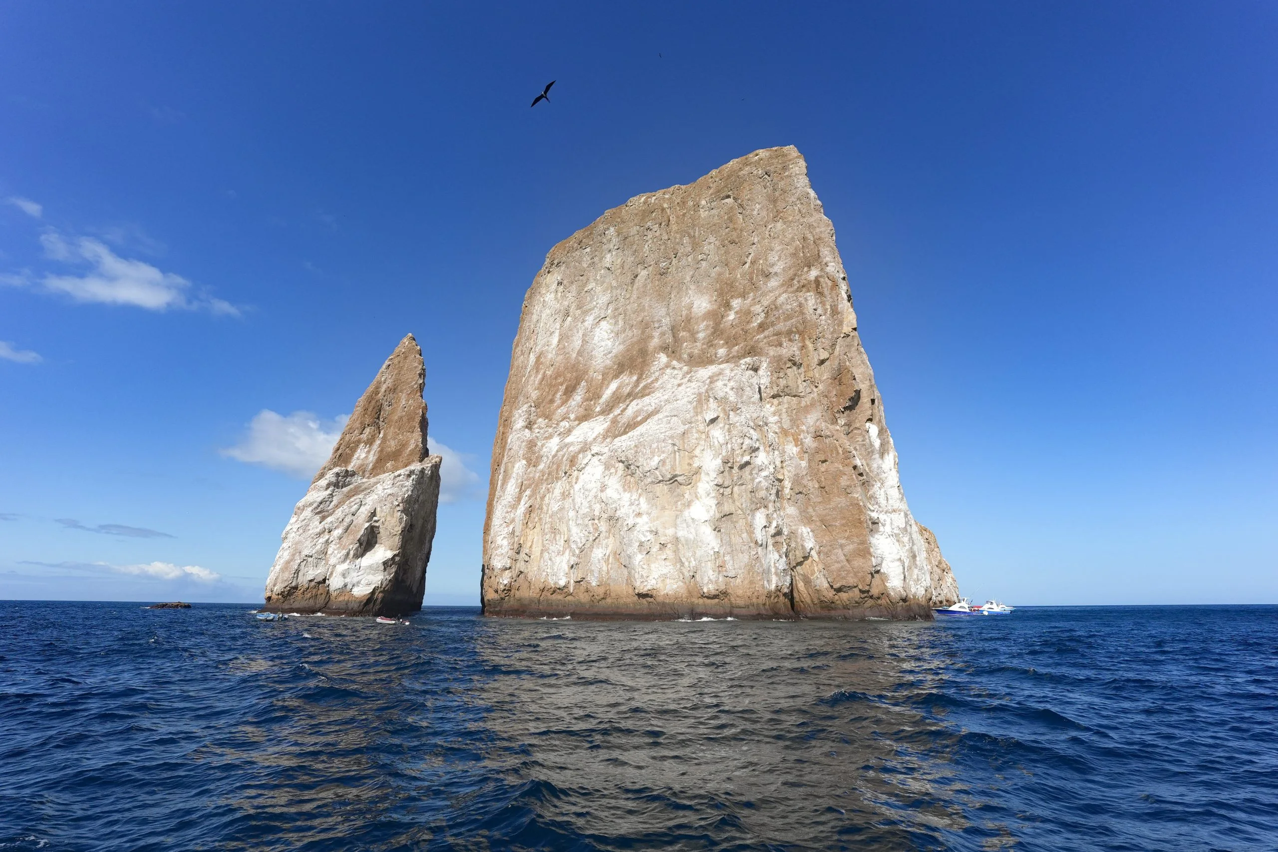 Vicente Roca Point