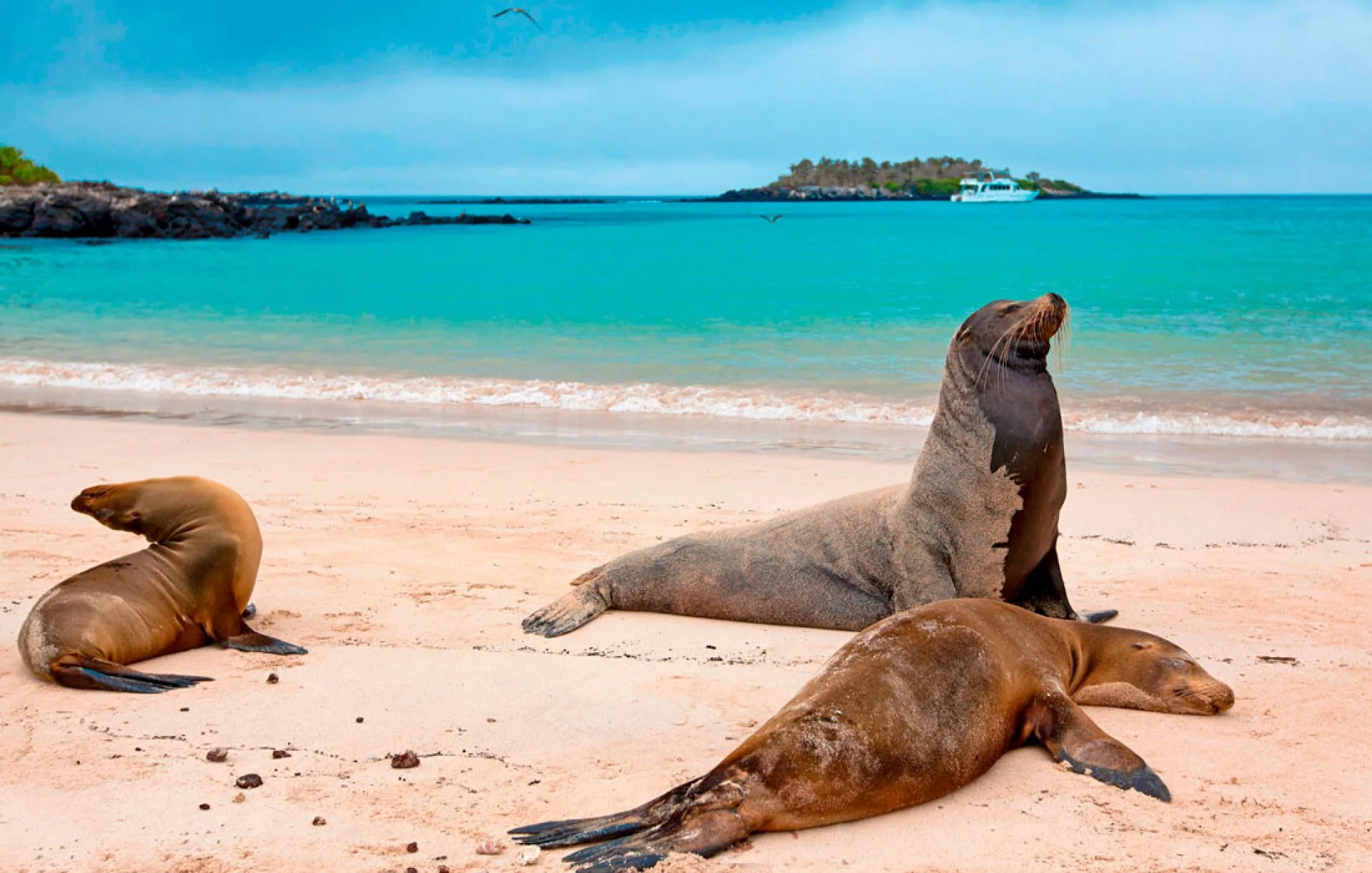 Santa Fe - Snorkeling Adventure & Hidden Beach