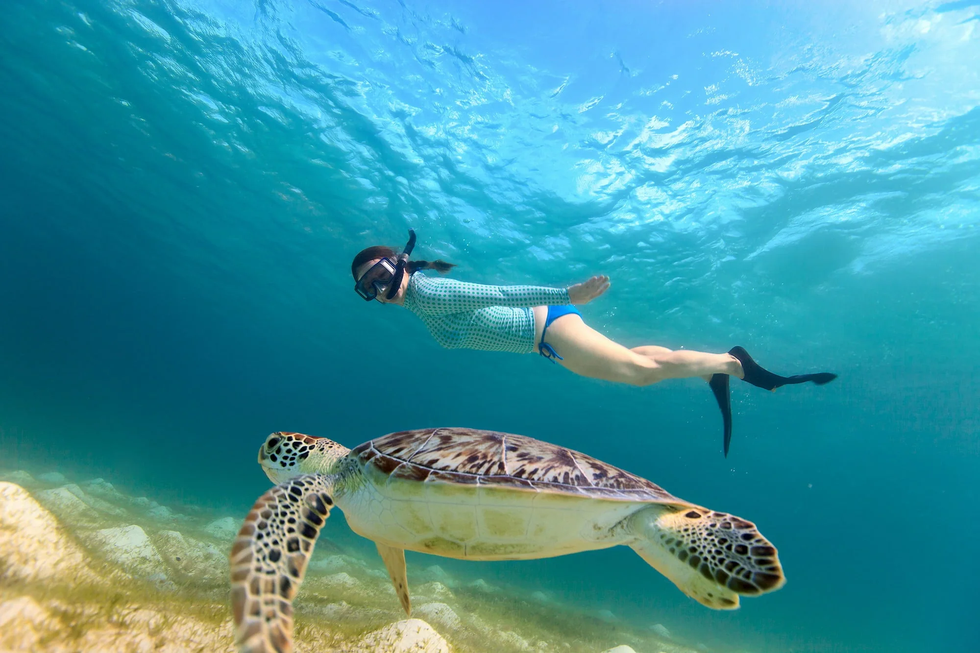 Snorkeling with iconic Galapagos wildlife