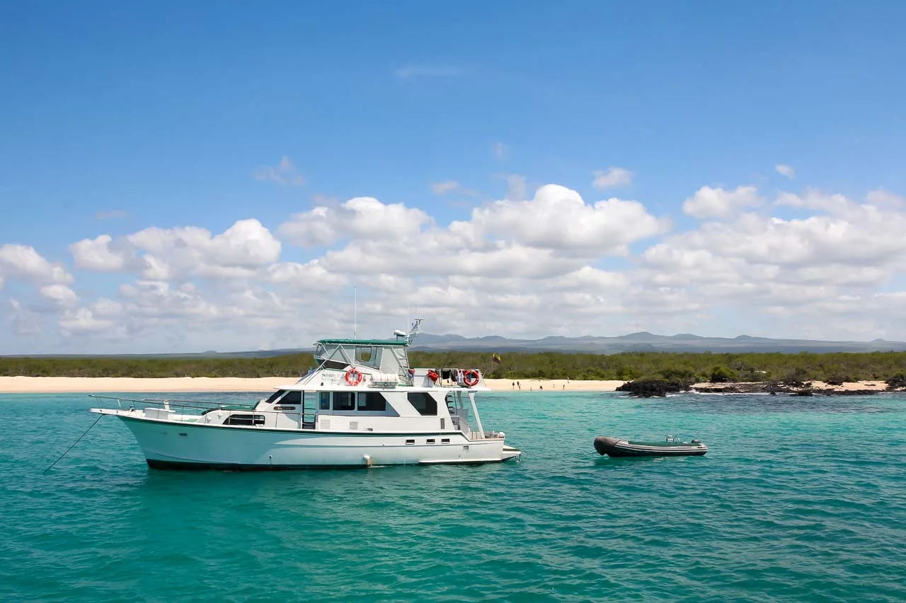Wake up on one island, explore another, and experience Galapagos at your own pace.