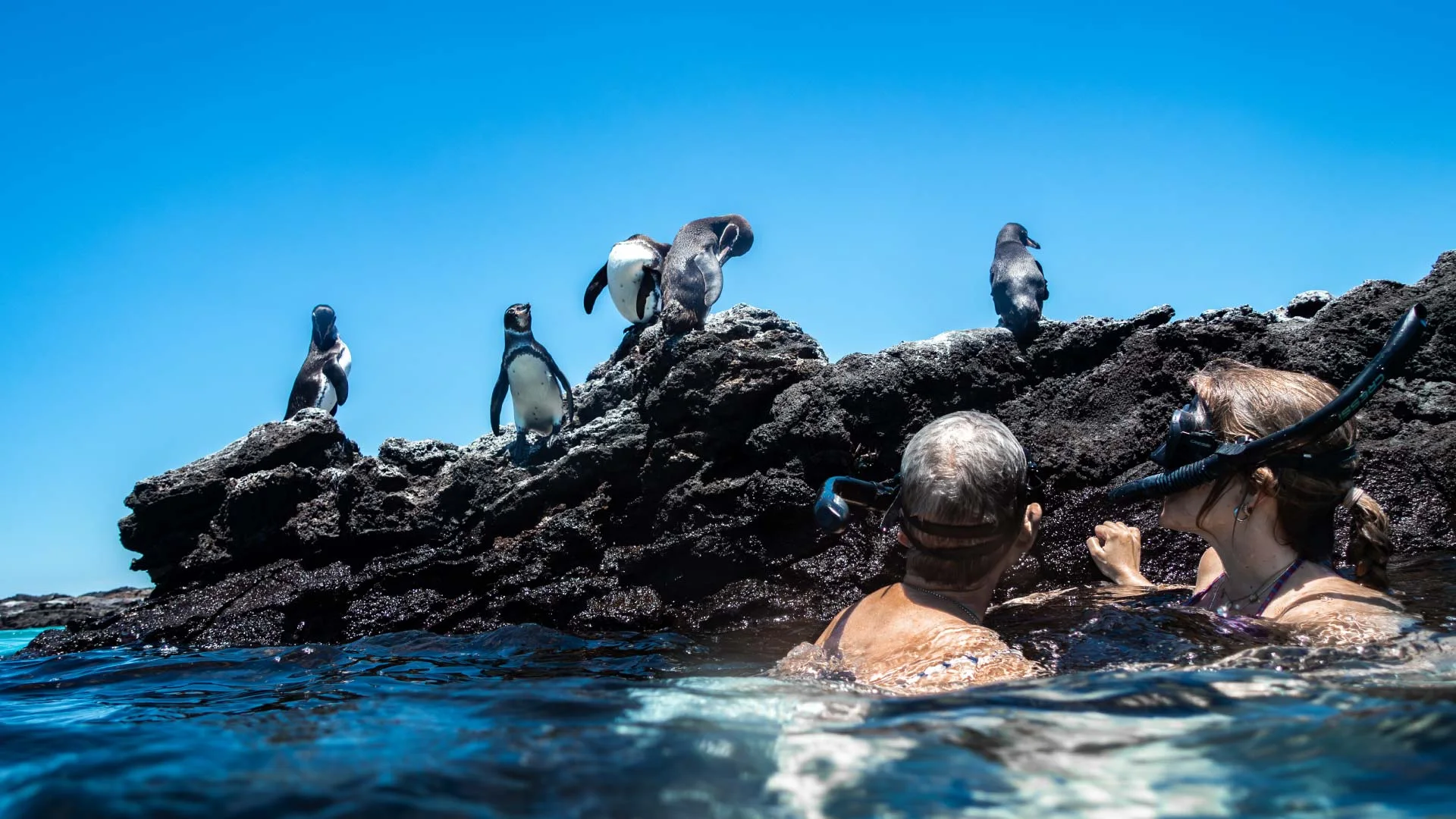 Snorkeling