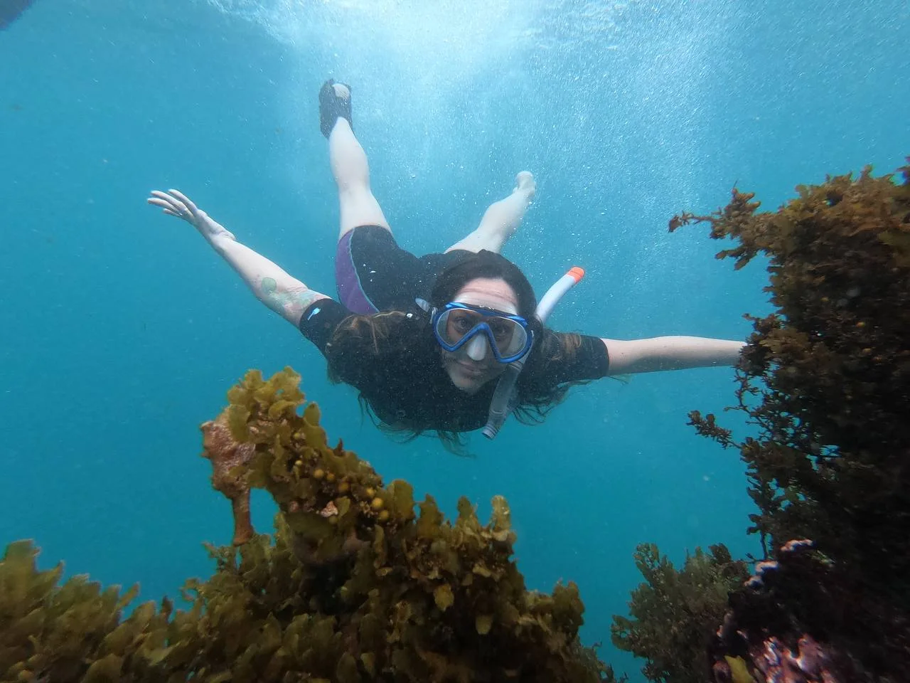 7 Day - "Galapagos Wisdom" Tour - IDEAL
