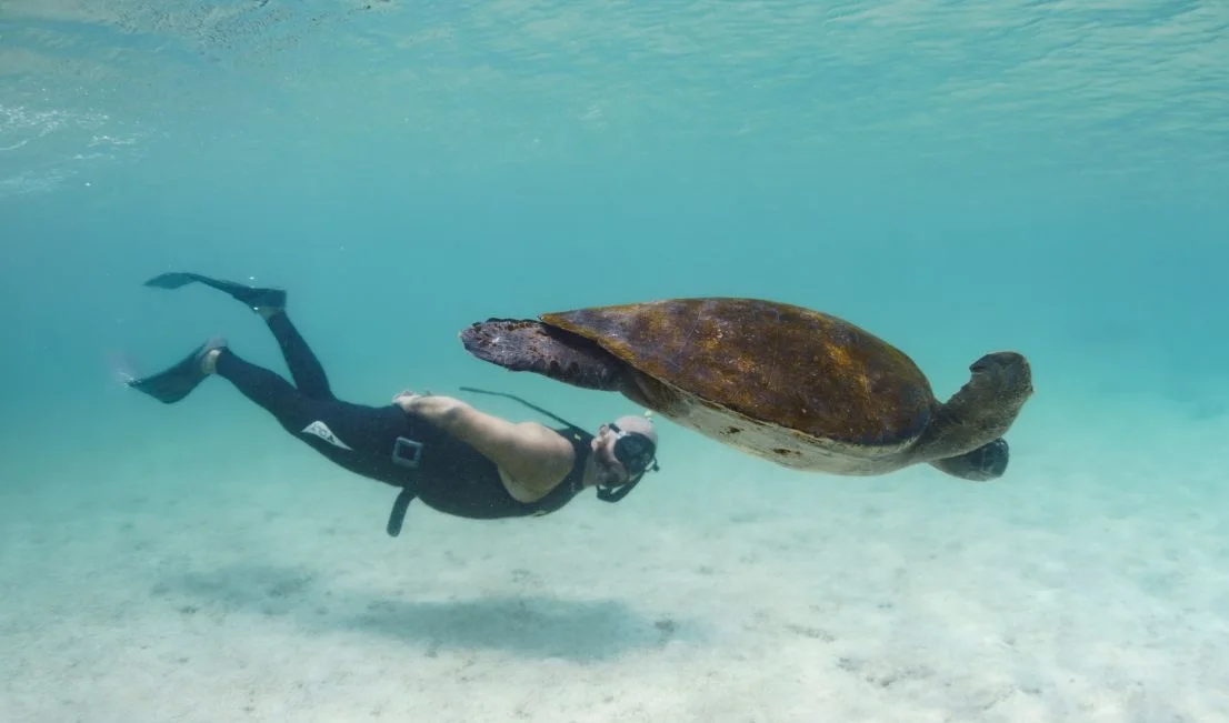 15 Day - Mega Galapagos 360 Tour “A” - IDEAL