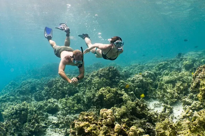 Snorkeling Adventures