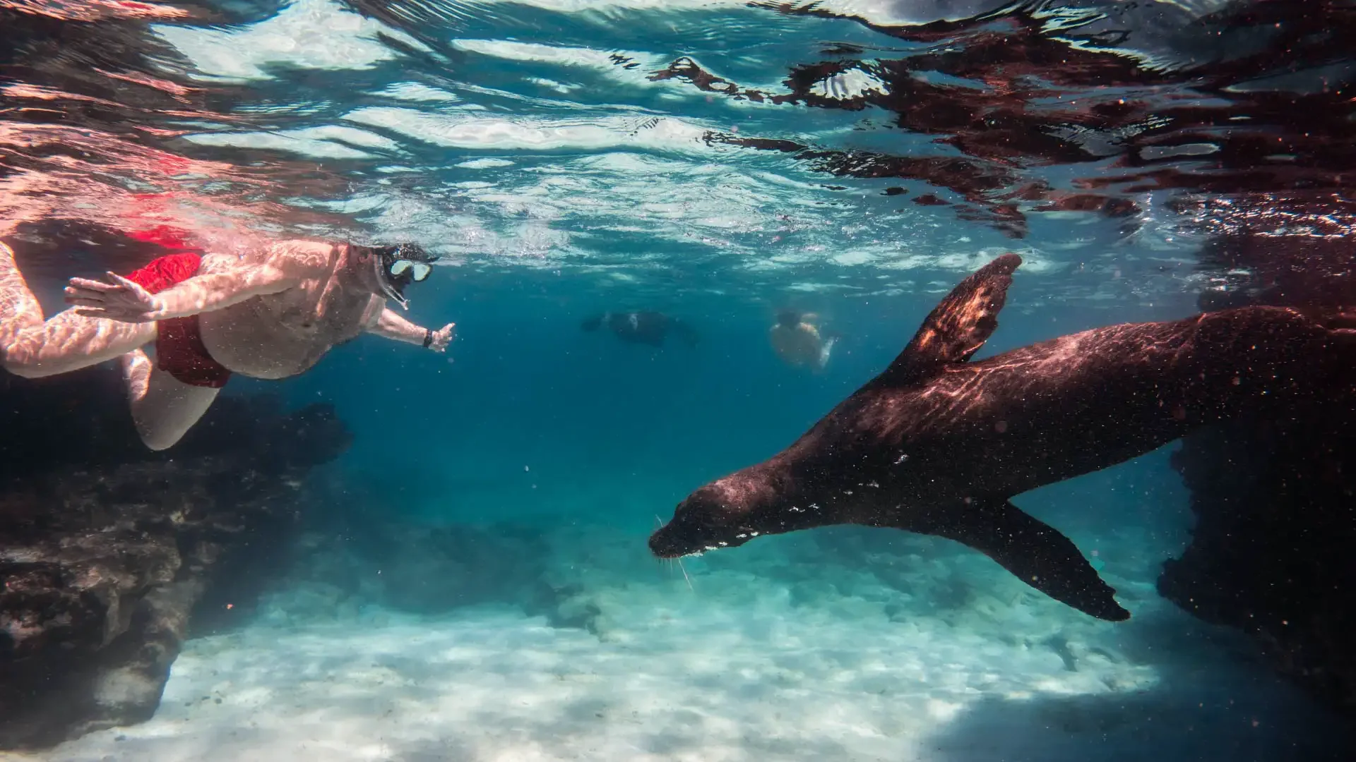 Snorkeling