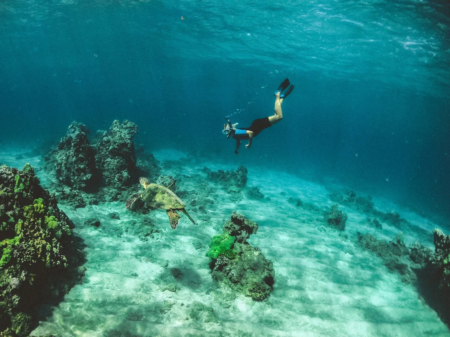January in the Galapagos