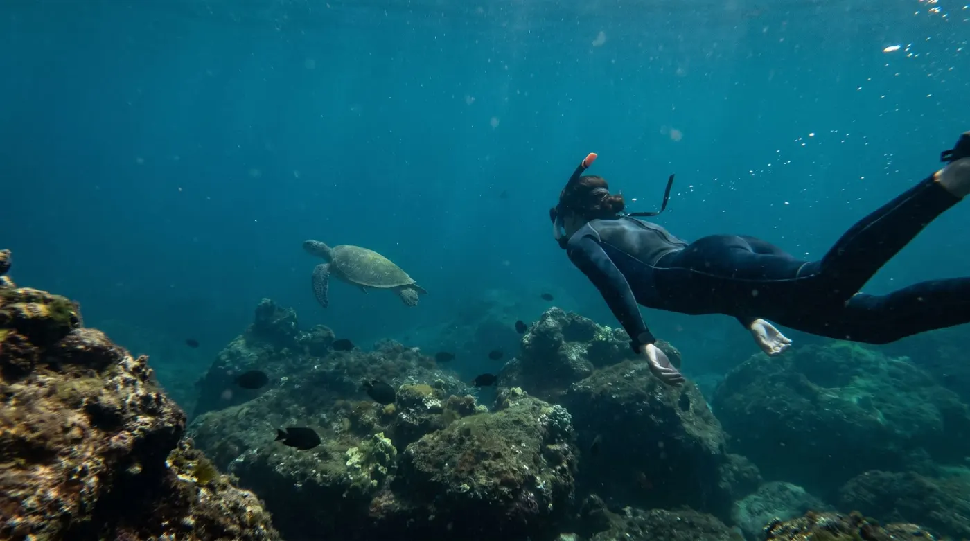 Snorkeling With Sea Turtles — the reality