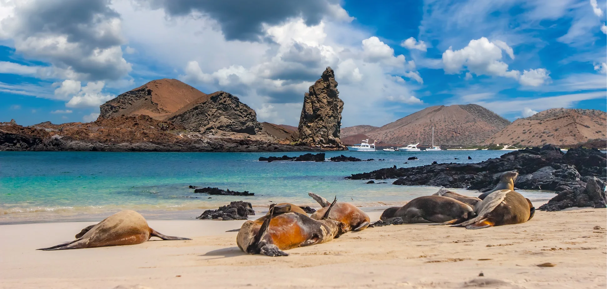 At Sullivan Bay, the volcanic origins of Galapagos are written across the landscape.
