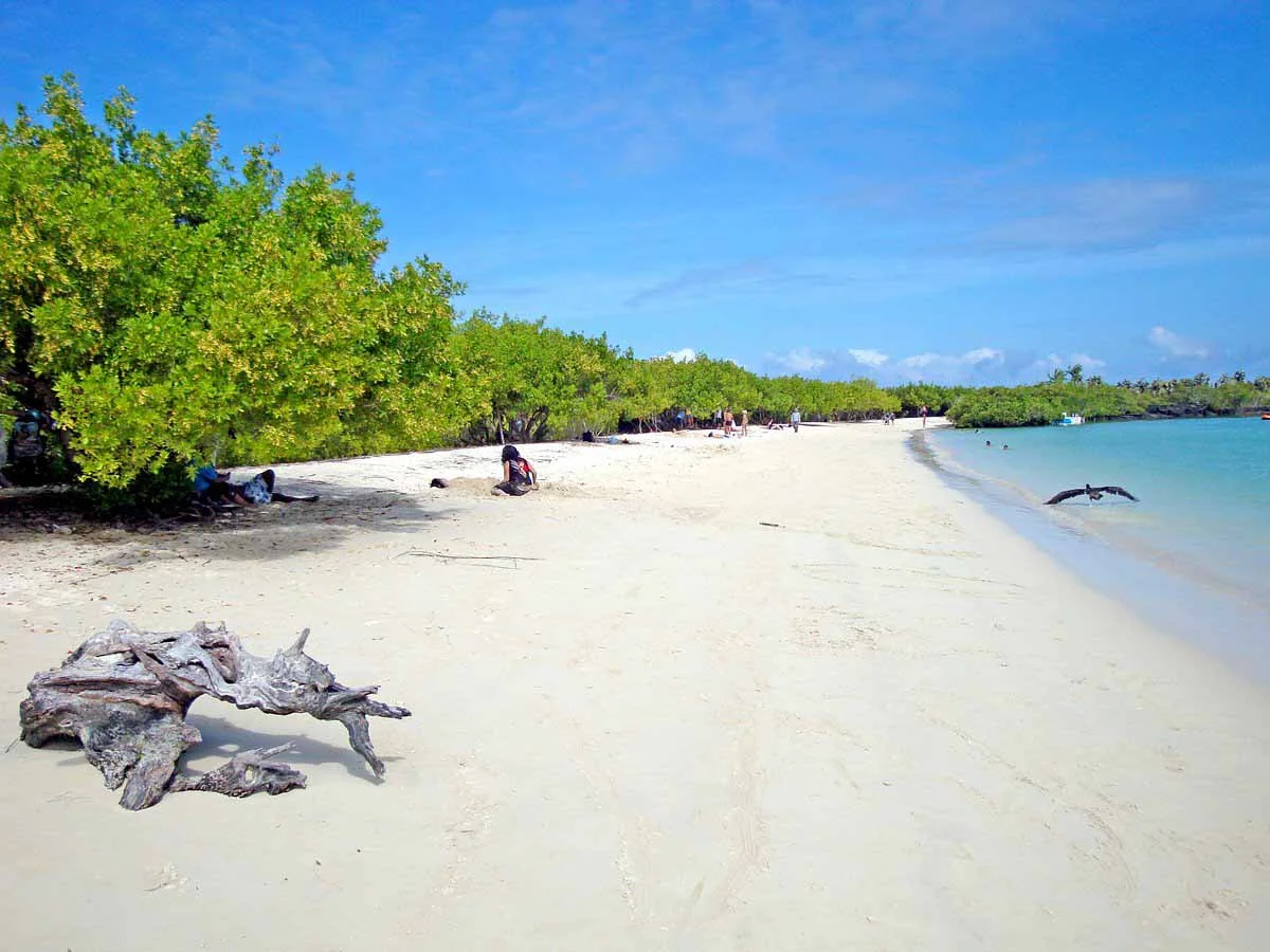 Santa Cruz - Tortuga Bay & Transfer to Isabela Island