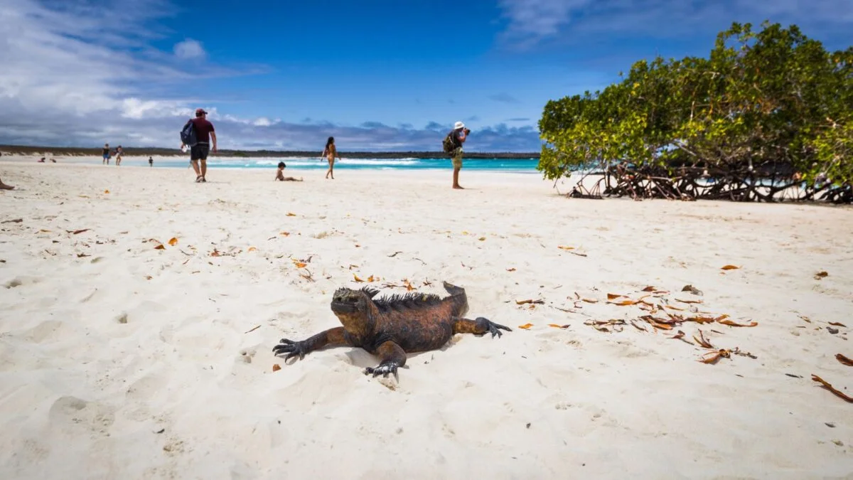 Tortuga Bay during the warm season