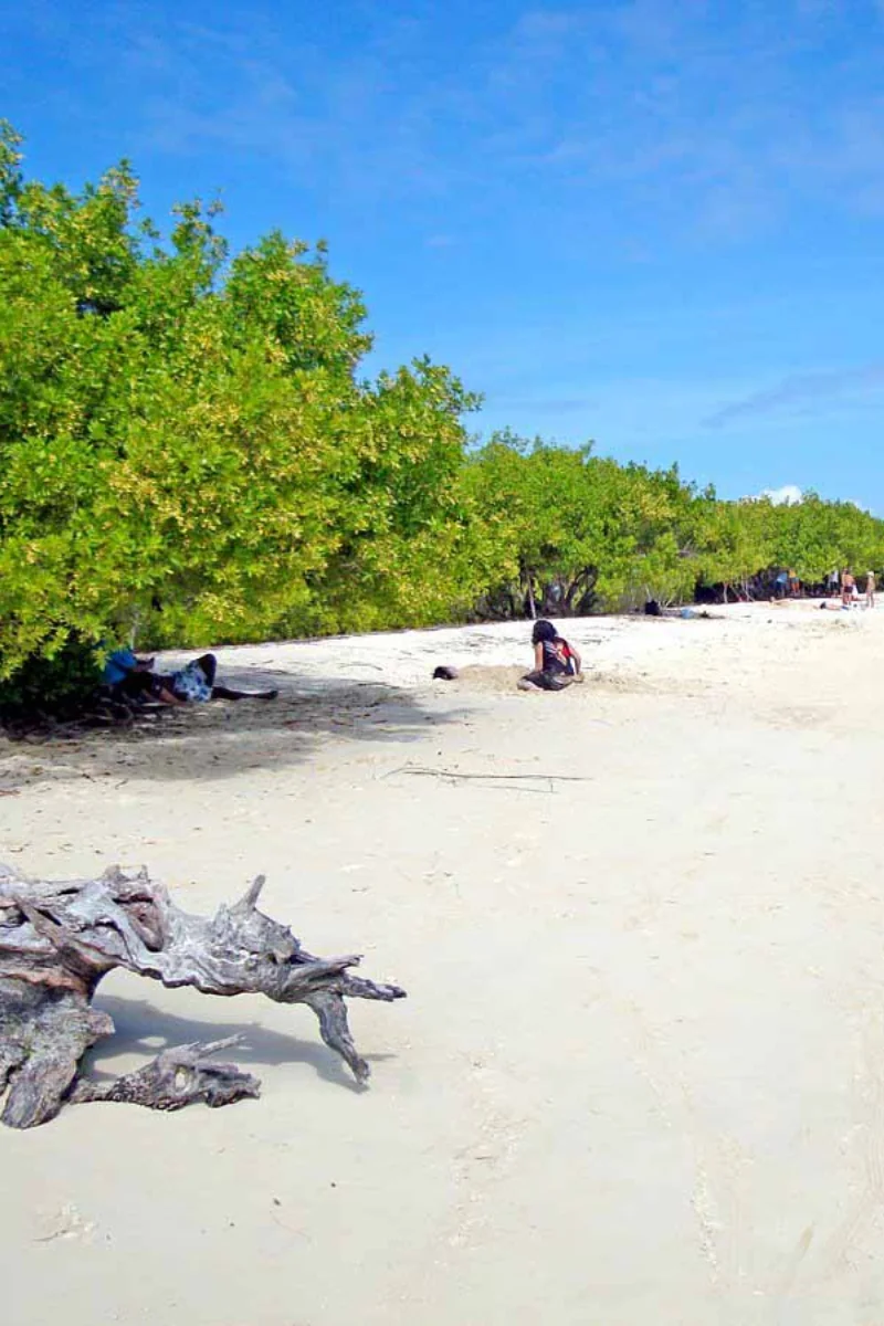 Tortuga Bay