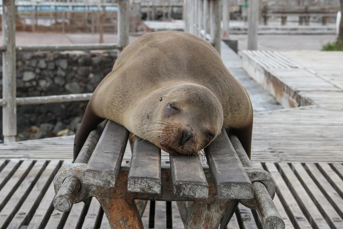 Some of the best Galapagos moments are the ones you never planned for.