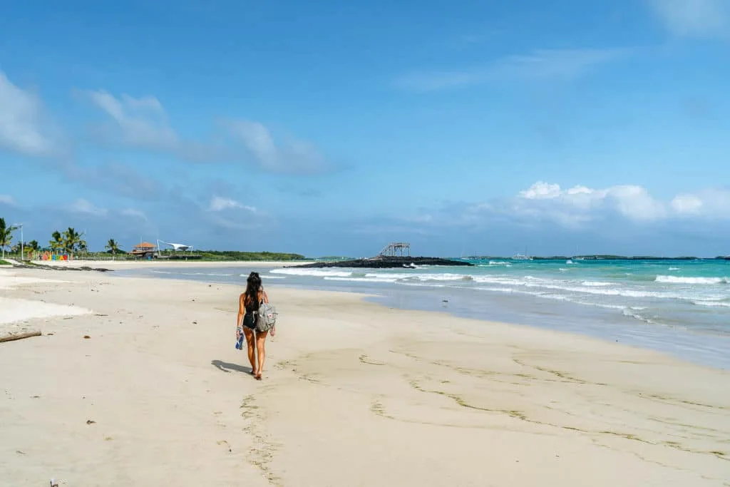 Santa Cruz – Isabela Island