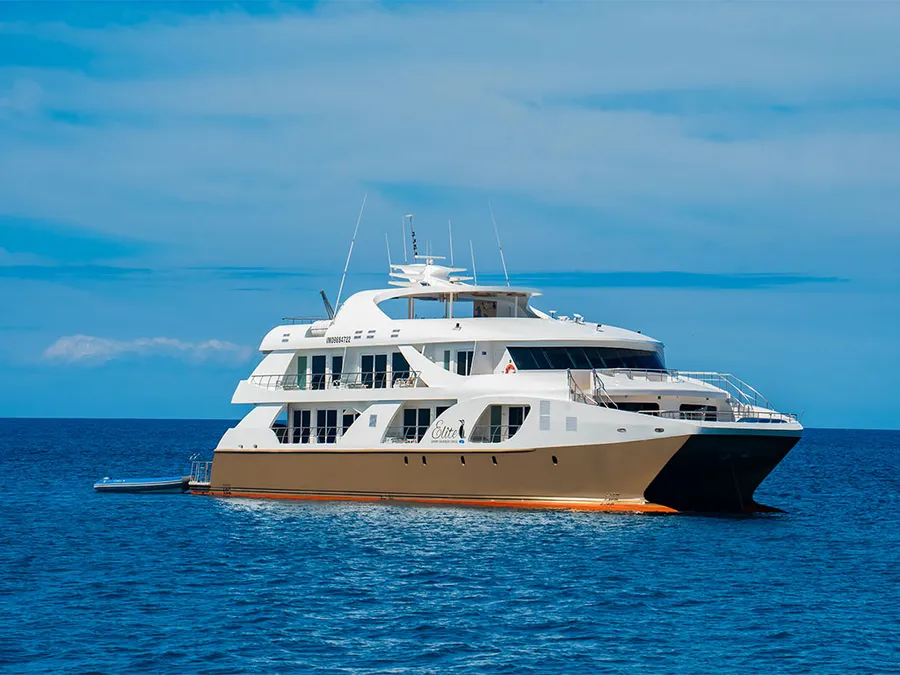 Luxury expedition cruise in the Galapagos