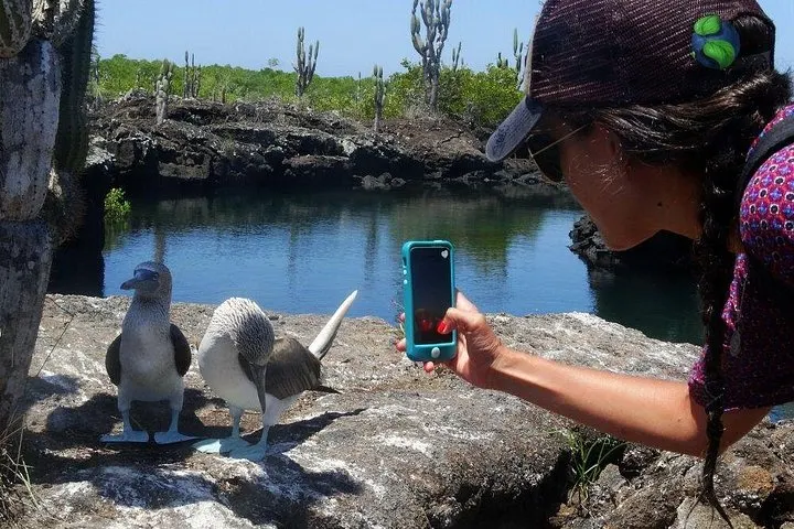 Wildlife Really Can Be That Close — the reality