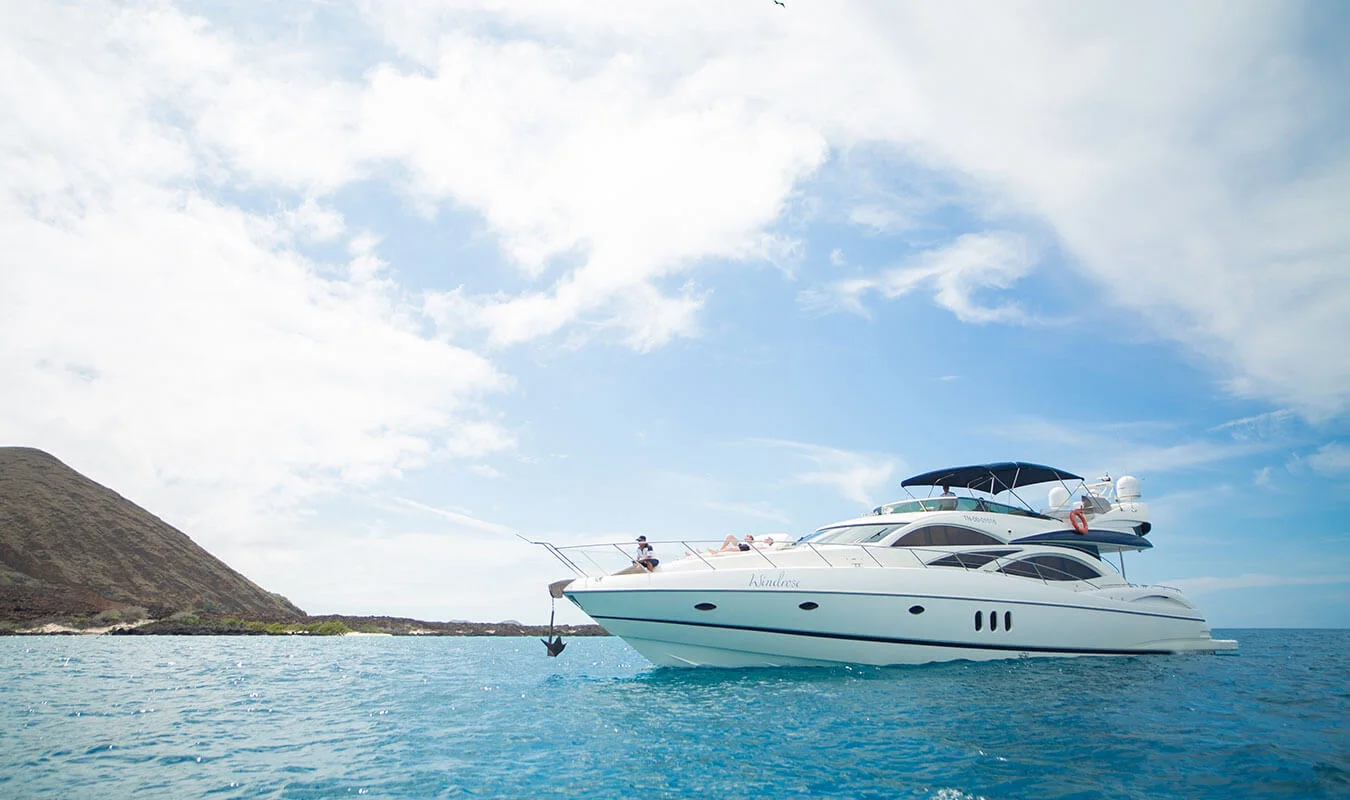 Santa Cruz - North Seymour Island & Premium Yacht